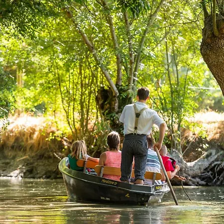 Bed & Breakfast D'hotes Le Tilleul Saint-Hilaire-des-Loges