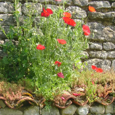 D'hotes Le Tilleul Bed & Breakfast Saint-Hilaire-des-Loges