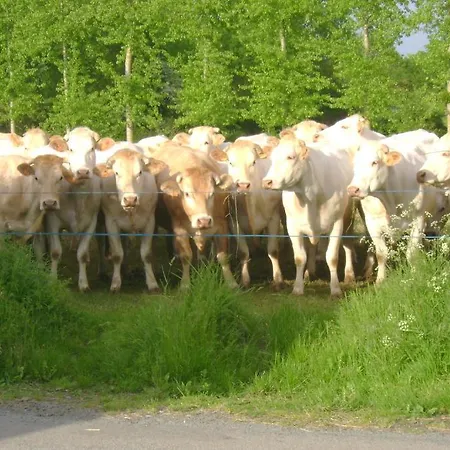 D'hotes Le Tilleul Frühstückspension