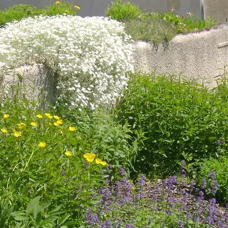 D'hotes Le Tilleul 3* Saint-Hilaire-des-Loges