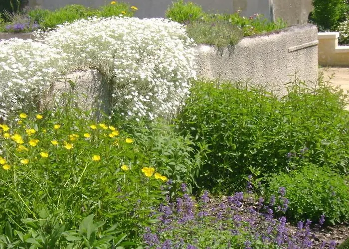 D'hôtes Le Tilleul 3* Saint-Hilaire-des-Loges